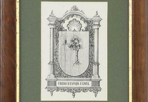 Brasão Freixo Espada à Cinta. Inácio Vilhena 1860