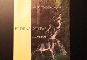Américo Gonçalves - Pedras soltas
