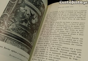 imagem_10