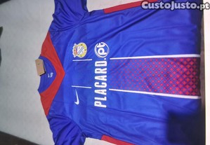 imagem_1