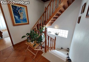 imagem_11
