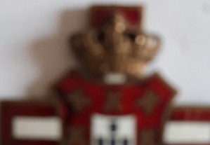 imagem_3