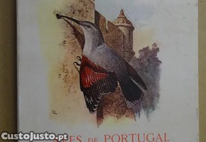 imagem_1