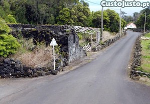 imagem_8