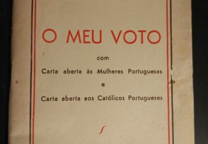 O Meu Voto - António Pinto Leite