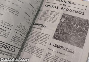 imagem_7