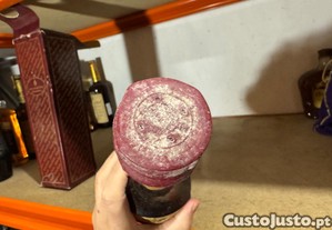imagem_6