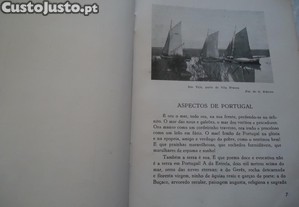 imagem_6