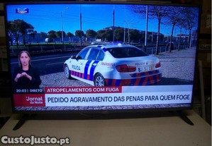 imagem_6
