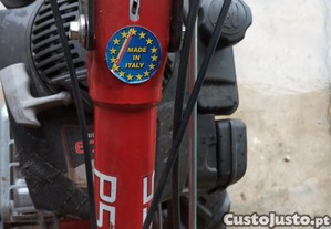 Capinadeira/corta mato e pente