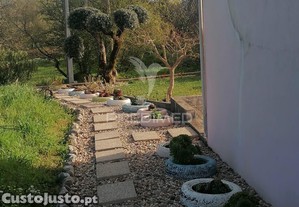 imagem_22