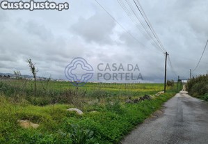 imagem_8
