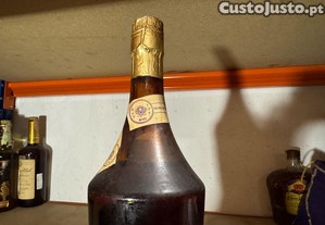 imagem_6