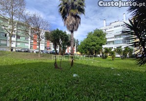 imagem_19