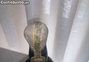 imagem_5
