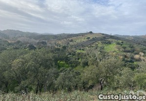Terreno Agrícola em São Brás de Alportel