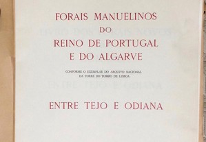 imagem_7