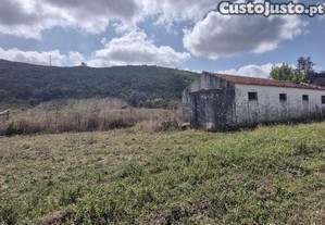 imagem_6