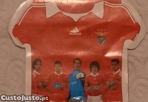 imagem_1