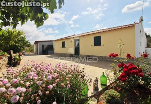 Quinta com 7,500 ha em são martinho das amoreiras