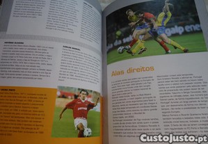 imagem_8