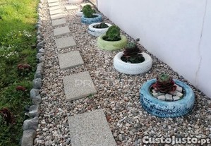 imagem_27