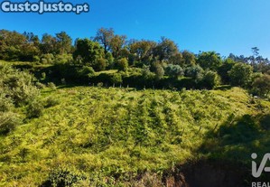 imagem_35