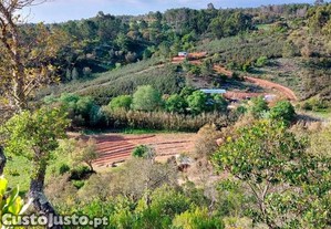 Herdade Com 7,1 Hectares Com Potencial Turístico Em Aljezur, Faro, Aljezur
