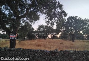 Terreno agrcola