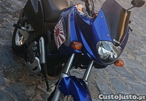 imagem_2