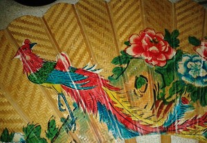 imagem_6
