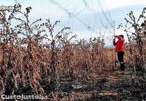 Redes para Proteção de Cultivos Resistentes ( Fio Multifilamento ) Invisiveis