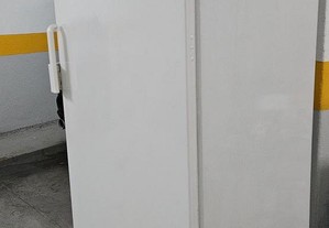 Arca Congeladora Vertical Bosch