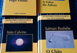 imagem_3