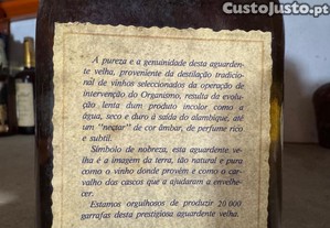 imagem_6