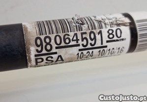 imagem_2