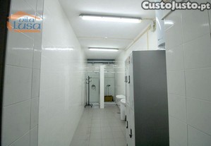 imagem_13