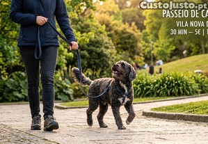 Passeio de Cães em Vila Nova de Gaia