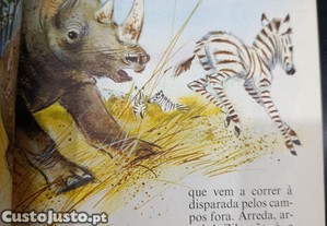 imagem_2