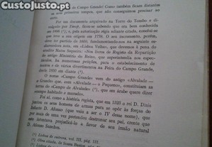 imagem_4
