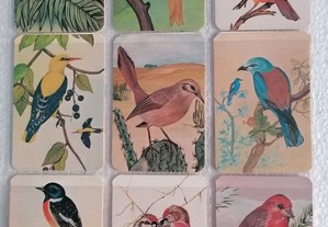 Série de 15 Calendários de aves de 1987