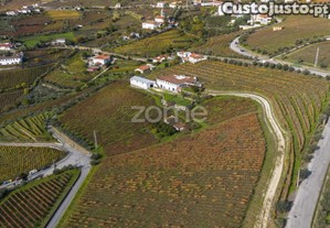 Quinta Na Régua Com 4.5 Hect De Vinha, Com Casa...