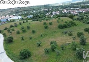 imagem_28