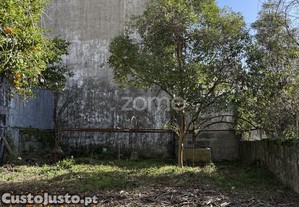 imagem_7