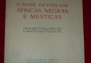 O Brasil em Face das Áfricas Negras e Mestiças