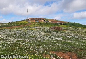 Moradia Com Terreno De 5,15 Ha Em Mexilhoeira...