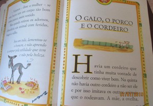 imagem_4