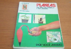 imagem_7