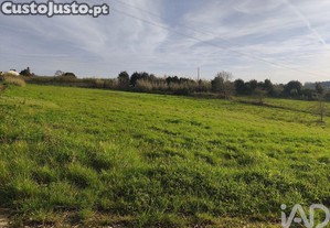 Terreno Agrícola em Cela