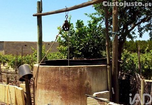 Terreno Agrícola em Benfica do Ribatejo